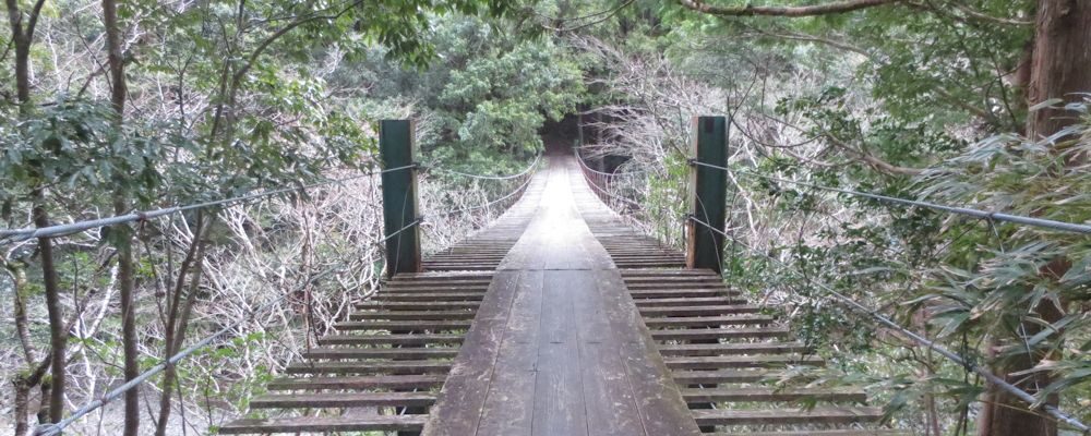 全国木橋サミット